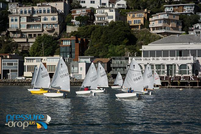 Sixty-second Annual Golden Gate Bullship Race  © Pressure Drop . US